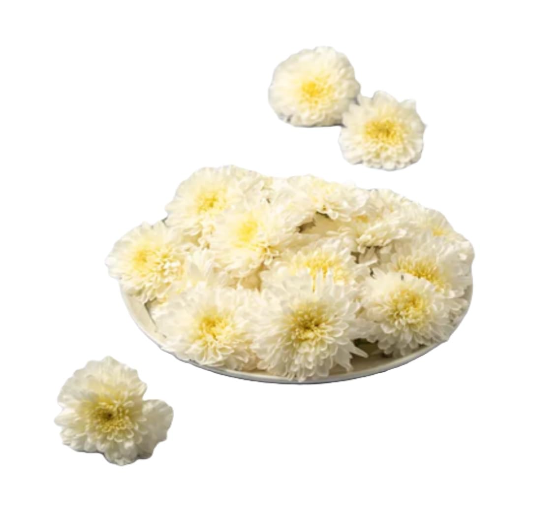 Fresh Chrysanthemum/Shevanti Flower White, 100 g image 4