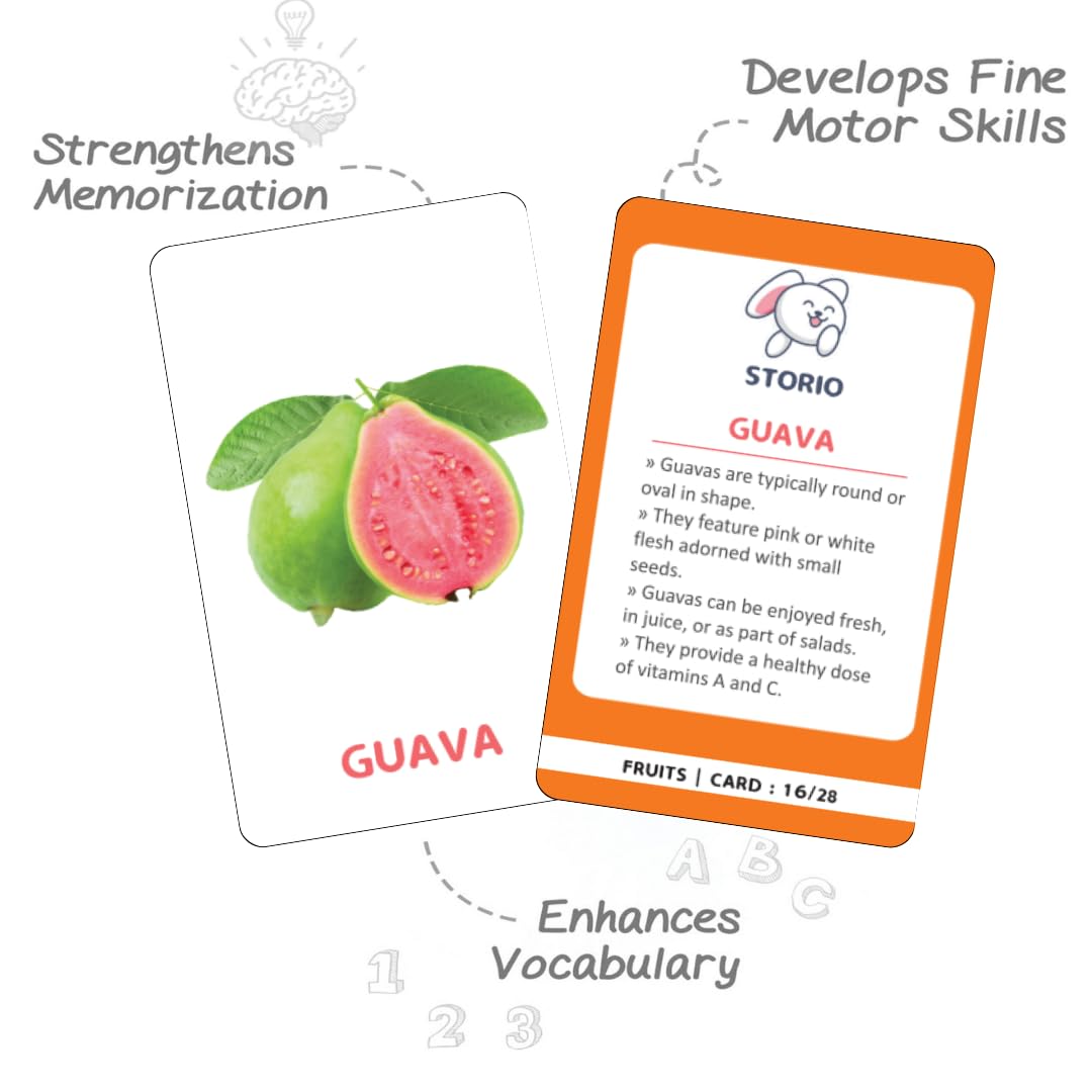 Storio Flashcards Early Learning 7 in 1 Flash Cards for Kids Babies | 196 Total Cards | Fun & Easy Language_Skills Learning Way for Preschoolers & Toddlers | 12+ Months image 5