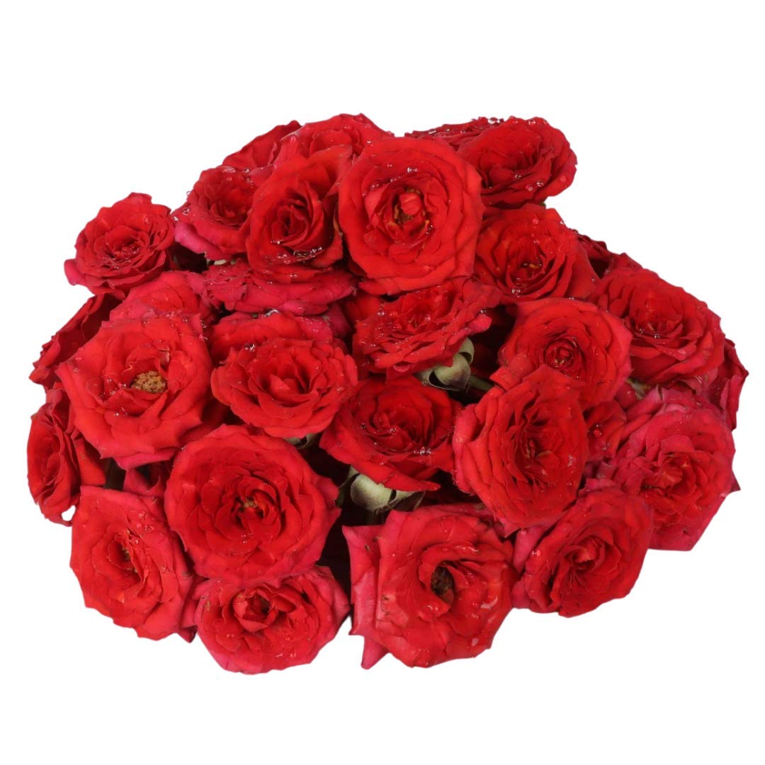 Fresh Assorted Roses (Button Roses), 100g