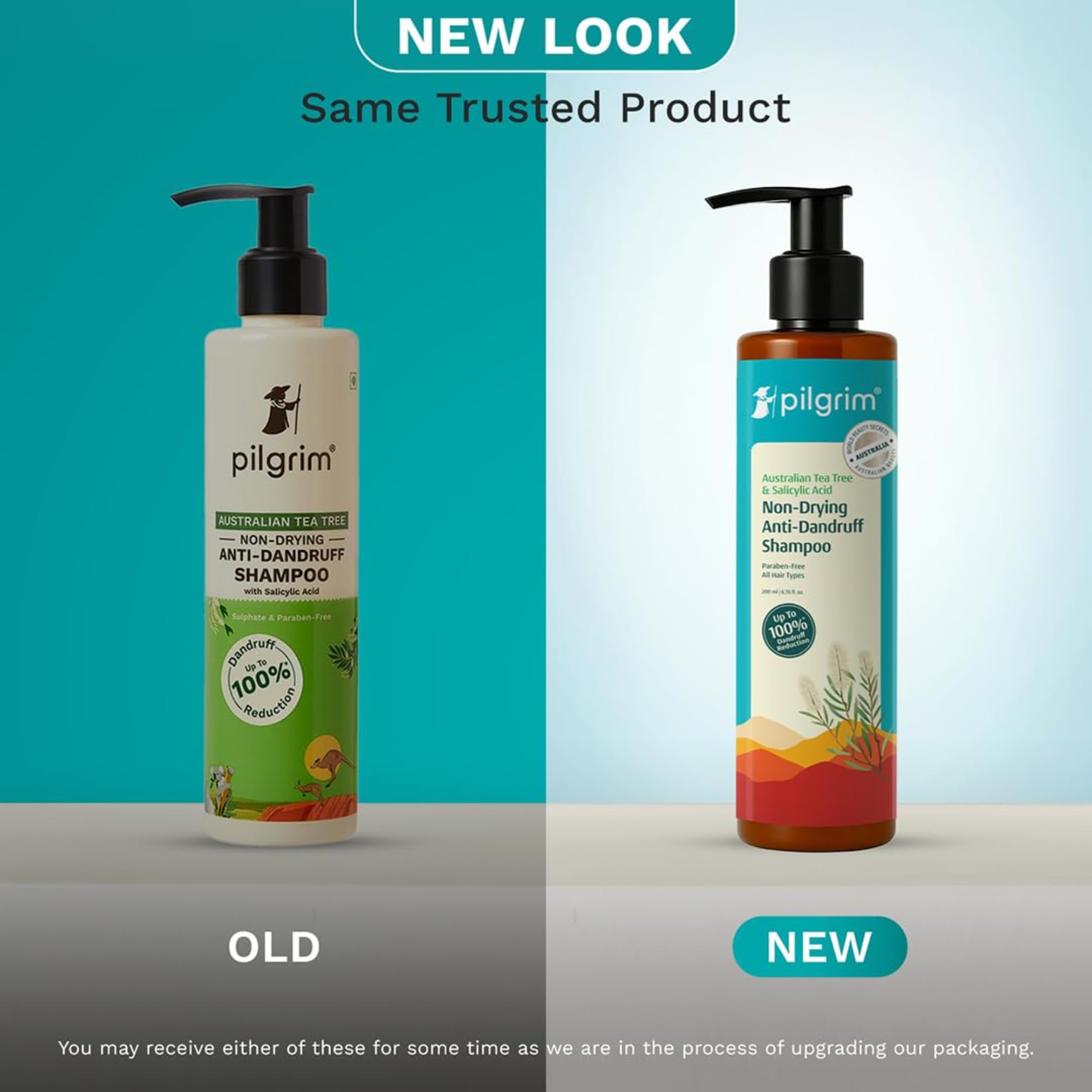 Pilgrim Australian Tea Tree Non-Drying Anti-Dandruff Shampoo 200 ml | Removes Dandruff from Source | Helps with Itching, Irritation | Strong & Smooth Hair | For Men & Women | image 2